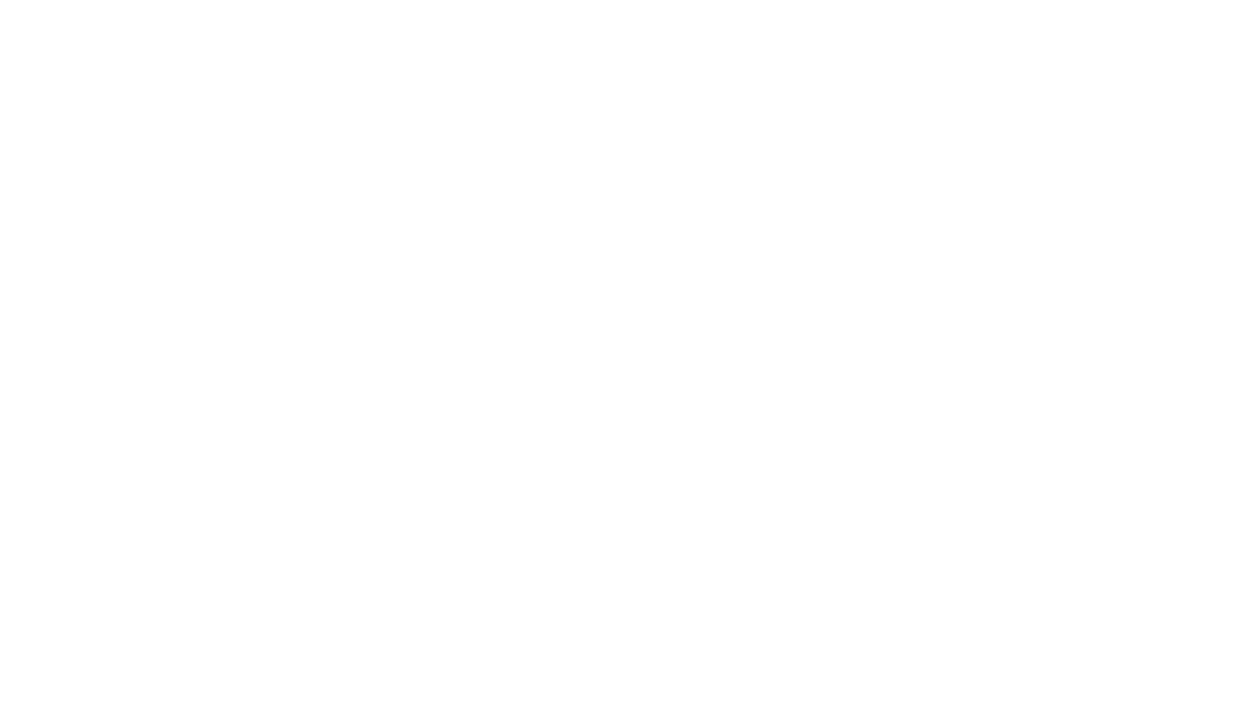 BIVA GROUP